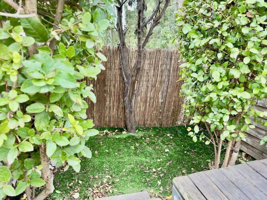 Maison Au Calme 2 Chambres Terrasse Clim Parking Gratuit Montpellier Eksteriør bilde